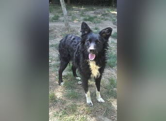 liebevolle Tina