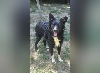 liebevolle Tina