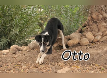 Schenken Sie Otto Glück?