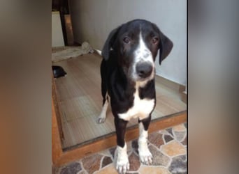 Orhan sucht seine Familie  