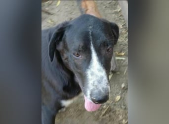 Orhan sucht seine Familie  