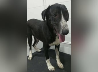 Orhan sucht seine Familie  