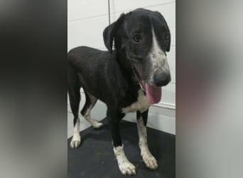 Orhan sucht seine Familie  