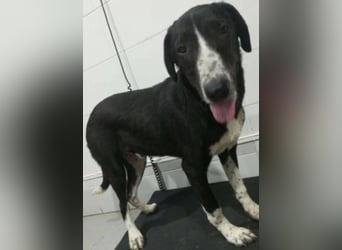 Orhan sucht seine Familie  