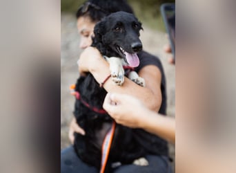 Tina ❤️ verspielte, kuschlige junge Hundedame