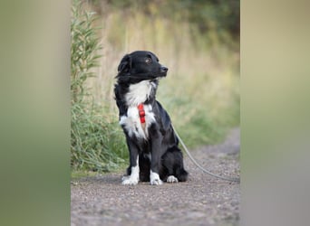 Deniza sucht ihre Menschen