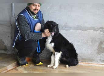 Balveer - Kluger Kopf mit viel Power