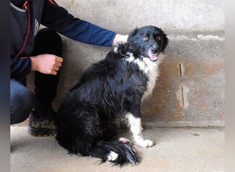 Balveer - Kluger Kopf mit viel Power