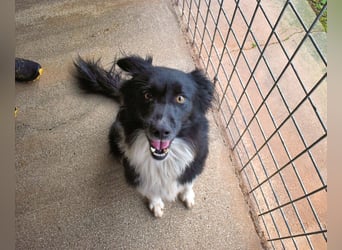 Balveer - Kluger Kopf mit viel Power