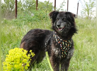 Hübsche Berta sucht ihre Menschen