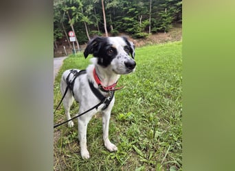 Skyla sucht ihre Herzensmenschen
