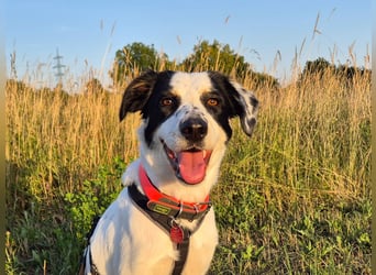 Skyla sucht ihre Herzensmenschen