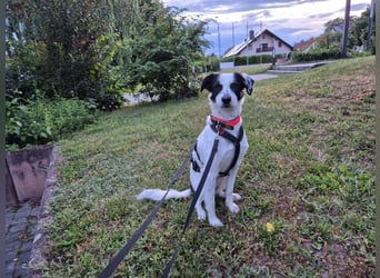 Skyla sucht ihre Herzensmenschen