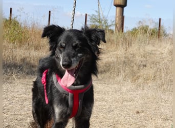 Hübsche Berta sucht ihre Menschen