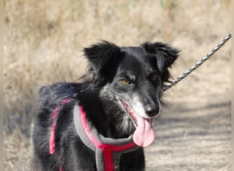 Hübsche Berta sucht ihre Menschen