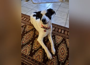 Skyla sucht ihre Herzensmenschen