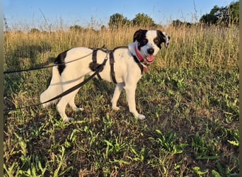 Skyla sucht ihre Herzensmenschen