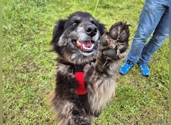 Hübsche Berta sucht ihre Menschen