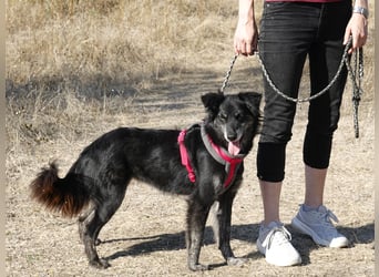 Hübsche Berta sucht ihre Menschen
