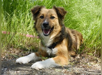 Sensible Nika sucht erfahrene Familie