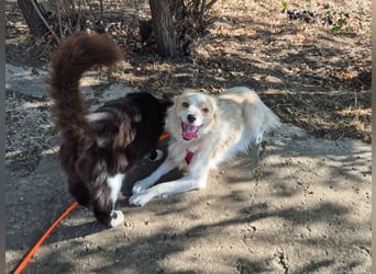 Sanfte Stina sucht Menschen mit Herz