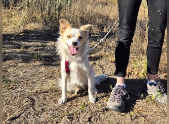 Sanfte Stina sucht Menschen mit Herz