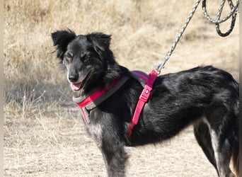 Hübsche Berta sucht ihre Menschen