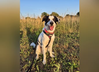 Skyla sucht ihre Herzensmenschen