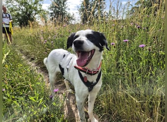 Skyla sucht ihre Herzensmenschen