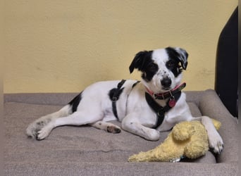 Skyla sucht ihre Herzensmenschen