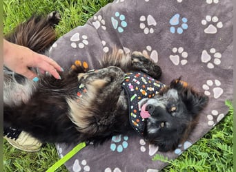 Hübsche Berta sucht ihre Menschen