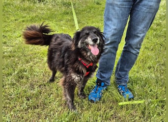 Hübsche Berta sucht ihre Menschen