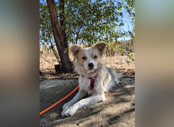 Sanfte Stina sucht Menschen mit Herz