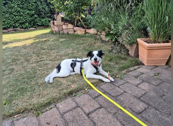 Skyla sucht ihre Herzensmenschen
