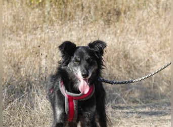 Hübsche Berta sucht ihre Menschen