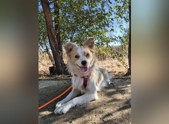 Sanfte Stina sucht Menschen mit Herz