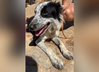 Lino möchte noch viel lernen