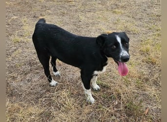 Noel, geboren 01.10.2025, 47cm sucht sein Abenteuer