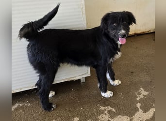 Pumba: ein Schatz mit Kuschelbedürfnis