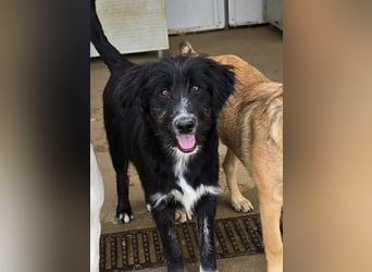 Pumba: kleines Herz sucht großes Glück