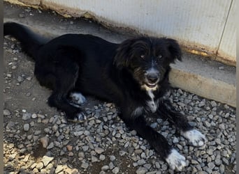 Pumba: ein Schatz mit Kuschelbedürfnis