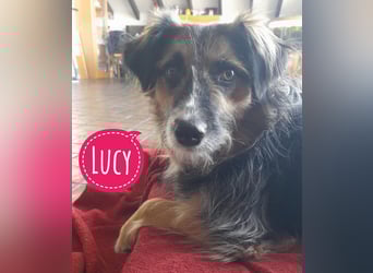 Lucy braucht ihre Menschen