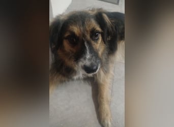 Lucy braucht ihre Menschen