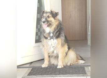 Lucy braucht ihre Menschen