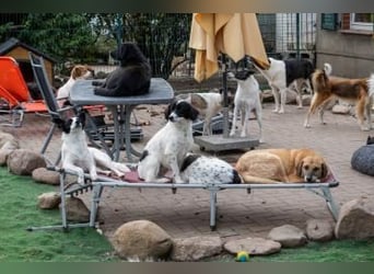 Lea sucht ihre Familie