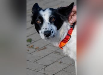 Lea sucht ihre Familie