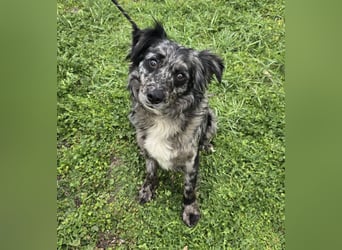 Florentino genannt Flo