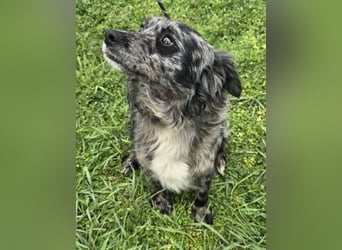 Florentino genannt Flo