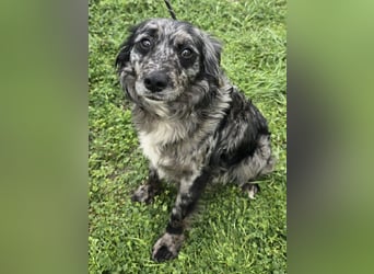 Florentino genannt Flo