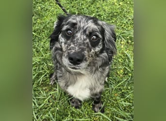 Florentino genannt Flo